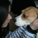 blue-b-o-h-o-blog avatar