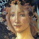 blue-blue-blooms avatar