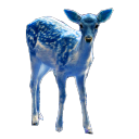blue-deer-detector avatar