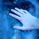 blue-ice-veins avatar