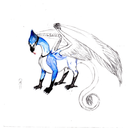 blue-jay-dragon avatar