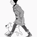 blue-molly-blog avatar