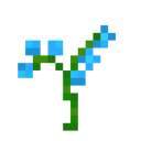 blue-orchid-mc avatar