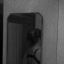 blue-rose-blog avatar