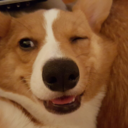 blue-shineforthemoonshine avatar