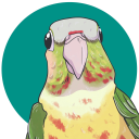 blue-umbreon-art avatar