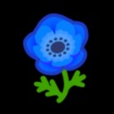 blue-windflower avatar