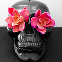 blue1a1a-blog avatar