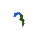bluebell612 avatar