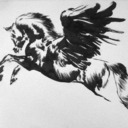 bluebellbluish avatar