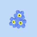 bluebellstudy-blog avatar