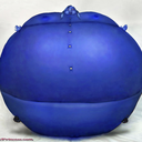 blueberry-gal-blog avatar