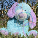 blueberry-pie-in-the-sky avatar