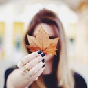 blueberryautumn avatar