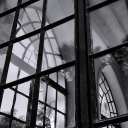 blueberryblues avatar