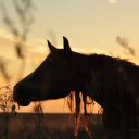 blueberrybucket avatar