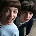 blueberryc1trus avatar