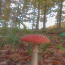 blueberryjoon avatar