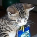 blueberrymuffin36 avatar