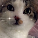 blueberrymuffinsblog avatar