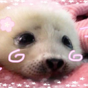 blueberrymuffn avatar