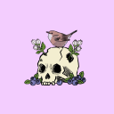 blueberrywren avatar