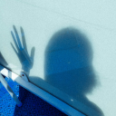 bluebirddelivery avatar