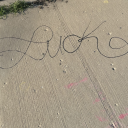 bluebirdelegy avatar