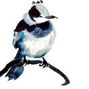 bluebirdsscribbles avatar