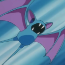 bluebirdthezubat avatar