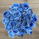 blueblossombliss avatar