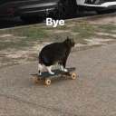 blueboy-blogs avatar