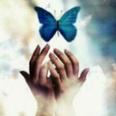 bluebutterflyprincess avatar