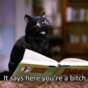 bluecaaterpillar avatar