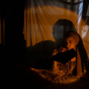 bluecoconutshell avatar