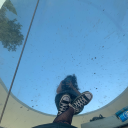 bluecollectionpersonal avatar