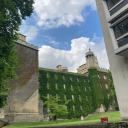 bluecookies14 avatar