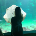 bluecrashangel avatar