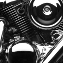 bluedefendortree avatar