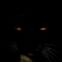 bluedistortion avatar