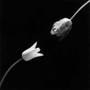 blueeyedb1tch avatar