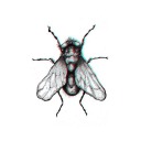 blueeyeshouseflies avatar