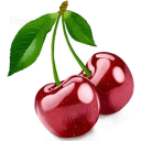 bluefire12348 avatar