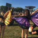 blueforyou-only-blog avatar