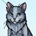 bluefurrsmemes avatar