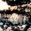 bluegreengreyeyes avatar