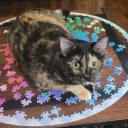 bluegreenraven avatar