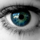 bluegreensailor avatar