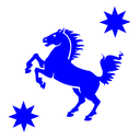 bluehorseride avatar