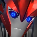 bluejay-berry avatar